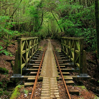 屋久島フリープランイメージ